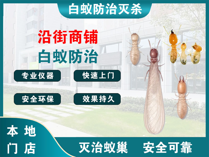 宁海沿街商铺白蚁防治