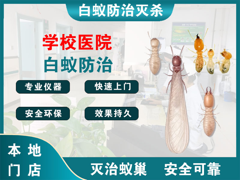 宁海学校医院白蚁防治