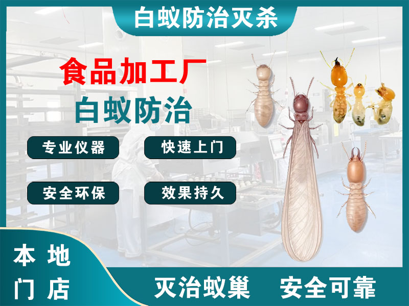 宁海食品加工厂白蚁防治