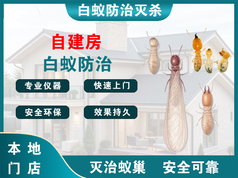 宁海自建房白蚁防治