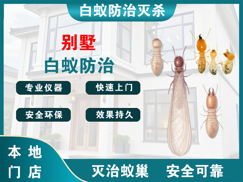 宁海别墅白蚁防治